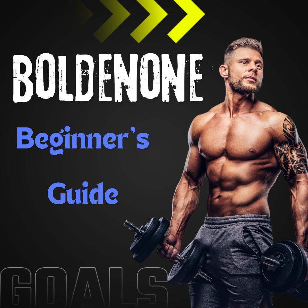 Articles Image The Guide to the Best EQ Boldenone Undecylenate Cycle for Beginners