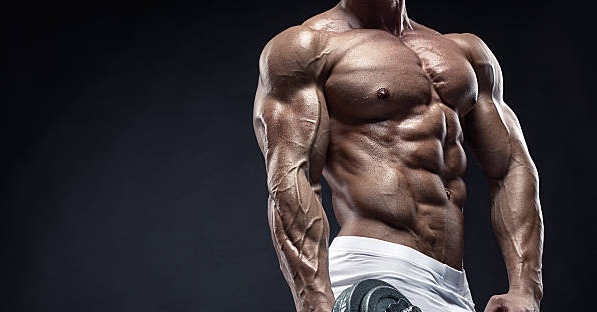 Articles Image Learn How Anabolic Steroids Work
