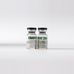 Enantat 250 - Testosterone Enanthate - Dragon Pharma, Europe
