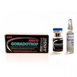 Gonadotropin 5000iu - Human Chorionic Gonadotropin - BodyPharm