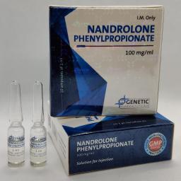 Genetic Pharmaceuticals Nandrolone Phenylpropionate (Genetic)
