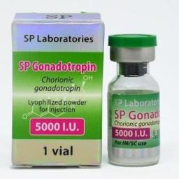SP Laboratories SP Gonadotropin 5000iu
