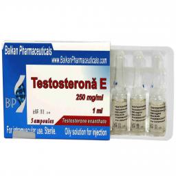 Testosterona E - Enandrol - Testosterone Enanthate - Balkan Pharmaceuticals