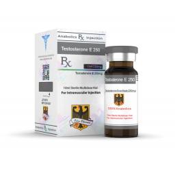 Odin Pharma Testosterone E 250