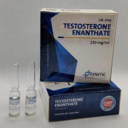 Genetic Pharmaceuticals Testosterone Enanthate (Genetic)